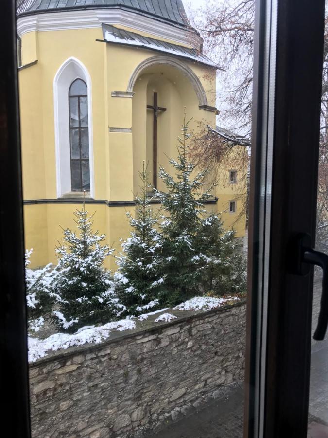 Бажане Місце Apartment Kamianets Podilskyi Bagian luar foto